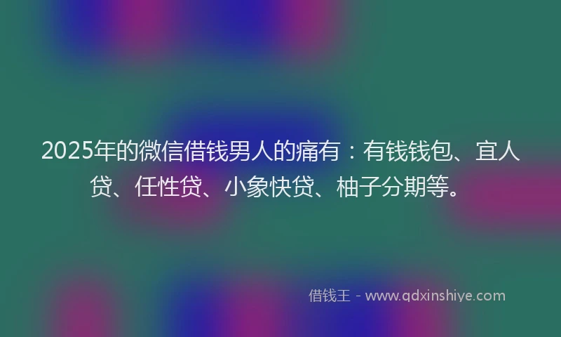 2025年的微信借钱男人的痛有：有钱钱包、宜人贷、任性贷、小象快贷、柚子分期等。