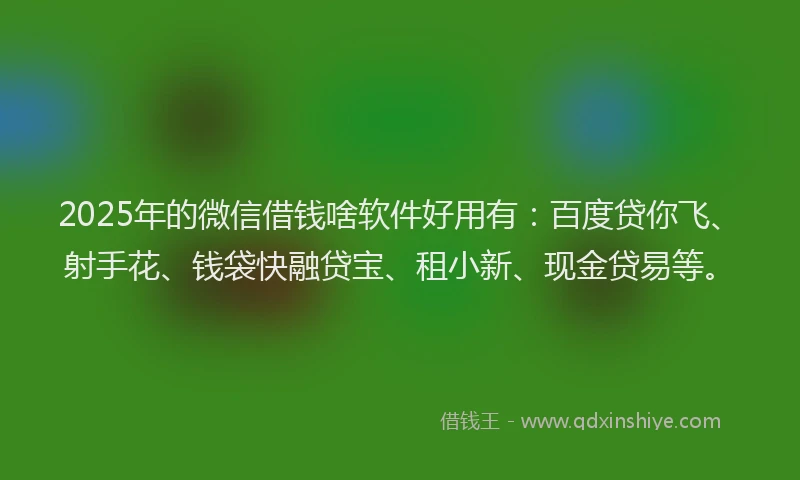 2025年的微信借钱啥软件好用有：百度贷你飞、射手花、钱袋快融贷宝、租小新、现金贷易等。