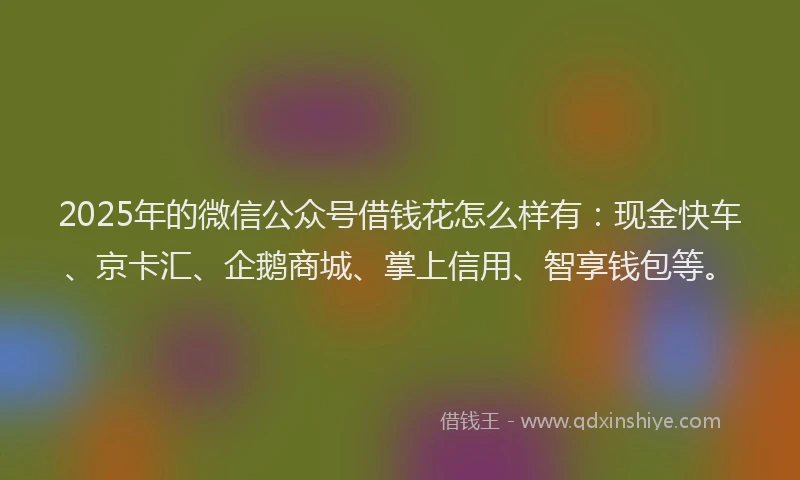 2025年的微信公众号借钱花怎么样有：现金快车、京卡汇、企鹅商城、掌上信用、智享钱包等。