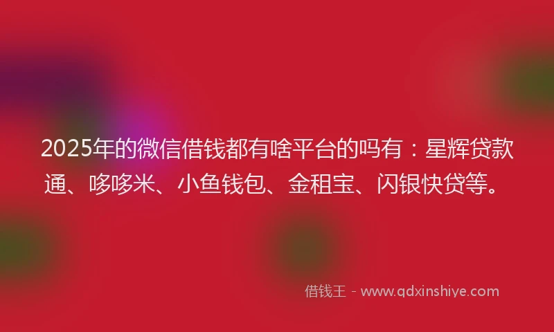 2025年的微信借钱都有啥平台的吗有：星辉贷款通、哆哆米、小鱼钱包、金租宝、闪银快贷等。