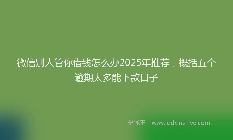 微信别人管你借钱怎么办2025年推荐，概括五个逾期太多能下款口子