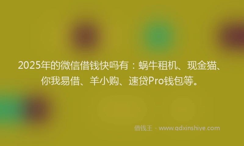 2025年的微信借钱快吗有：蜗牛租机、现金猫、你我易借、羊小购、速贷Pro钱包等。