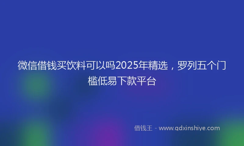 微信借钱买饮料可以吗2025年精选，罗列五个门槛低易下款平台