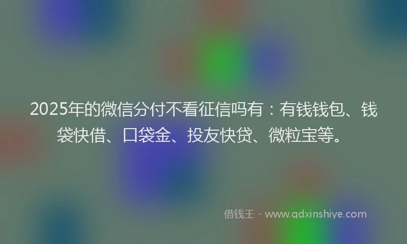 2025年的微信分付不看征信吗有：有钱钱包、钱袋快借、口袋金、投友快贷、微粒宝等。
