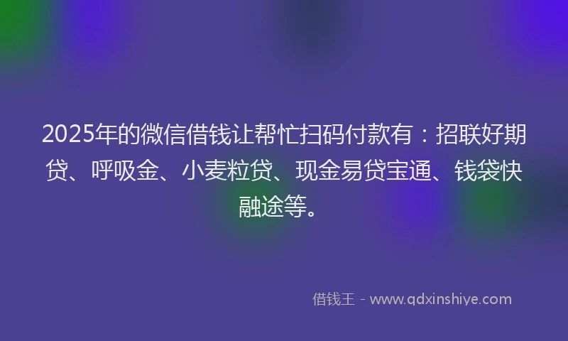 2025年的微信借钱让帮忙扫码付款有：招联好期贷、呼吸金、小麦粒贷、现金易贷宝通、钱袋快融途等。