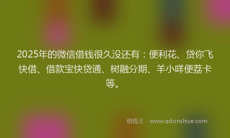 2025年的微信借钱很久没还有：便利花、贷你飞快借、借款宝快贷通、树融分期、羊小咩便荔卡等。