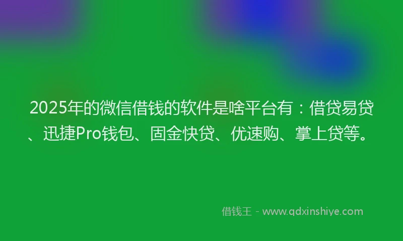 2025年的微信借钱的软件是啥平台有：借贷易贷、迅捷Pro钱包、固金快贷、优速购、掌上贷等。