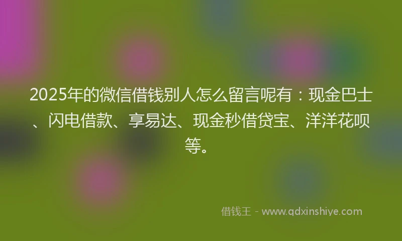 2025年的微信借钱别人怎么留言呢有：现金巴士、闪电借款、享易达、现金秒借贷宝、洋洋花呗等。