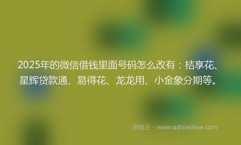 2025年的微信借钱里面号码怎么改有：桔享花、星辉贷款通、易得花、龙龙用、小金象分期等。