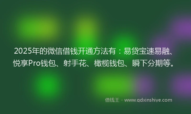 2025年的微信借钱开通方法有：易贷宝速易融、悦享Pro钱包、射手花、橄榄钱包、瞬下分期等。