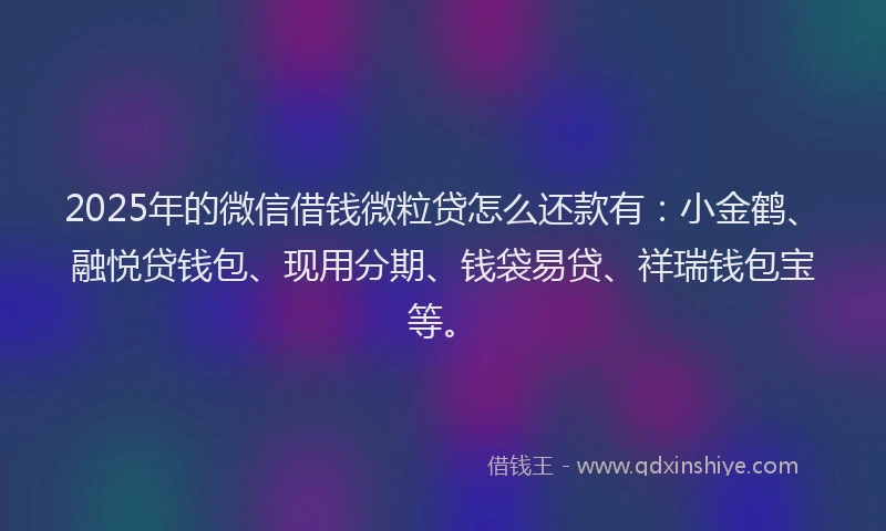 2025年的微信借钱微粒贷怎么还款有：小金鹤、融悦贷钱包、现用分期、钱袋易贷、祥瑞钱包宝等。
