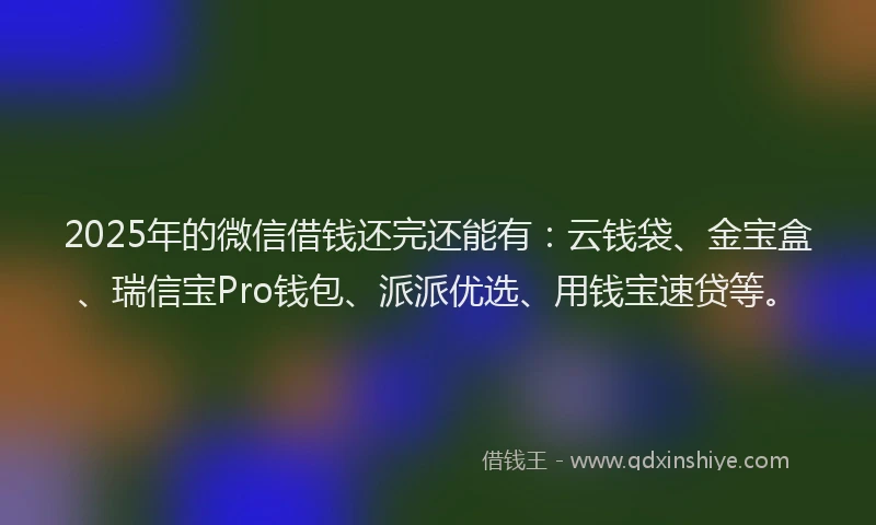 2025年的微信借钱还完还能有：云钱袋、金宝盒、瑞信宝Pro钱包、派派优选、用钱宝速贷等。