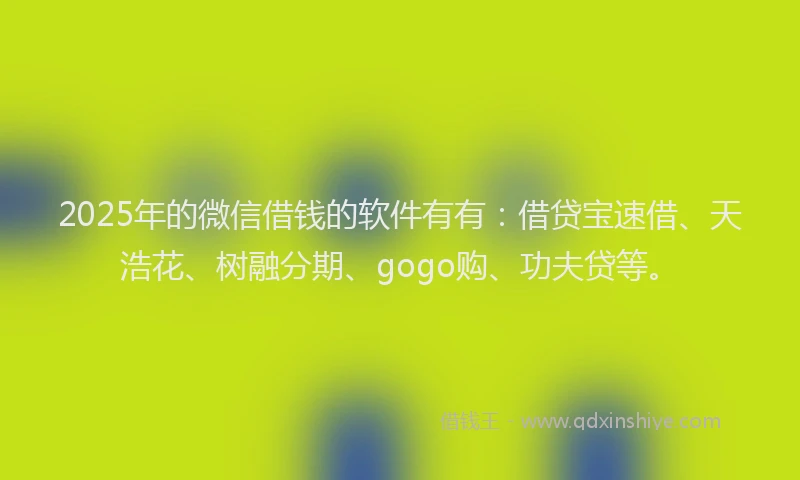 2025年的微信借钱的软件有有：借贷宝速借、天浩花、树融分期、gogo购、功夫贷等。