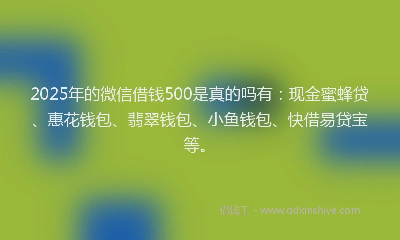 2025年的微信借钱500是真的吗有：现金蜜蜂贷、惠花钱包、翡翠钱包、小鱼钱包、快借易贷宝等。