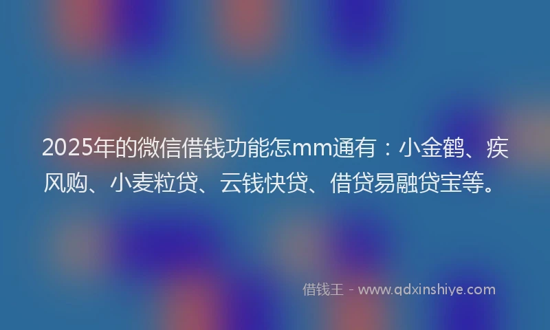 2025年的微信借钱功能怎mm通有：小金鹤、疾风购、小麦粒贷、云钱快贷、借贷易融贷宝等。