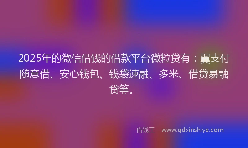 2025年的微信借钱的借款平台微粒贷有：翼支付随意借、安心钱包、钱袋速融、多米、借贷易融贷等。