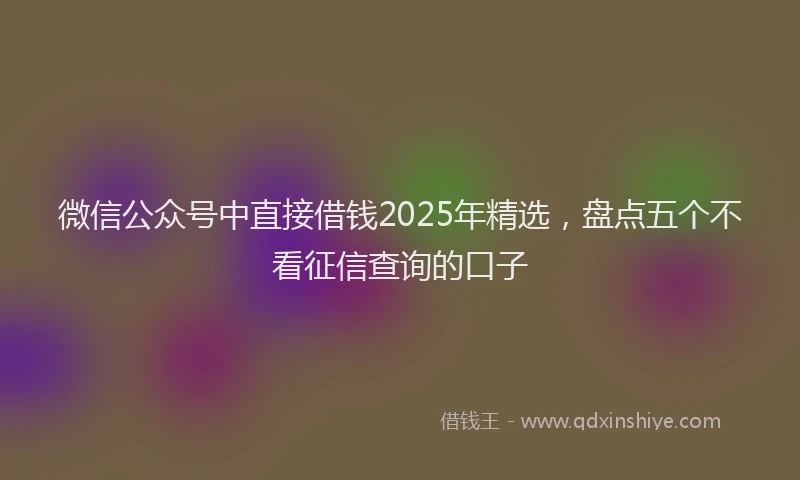 微信公众号中直接借钱2025年精选，盘点五个不看征信查询的口子
