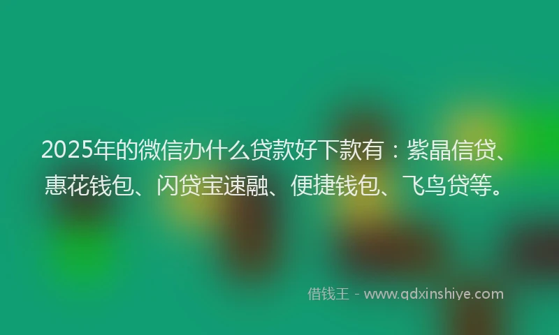 2025年的微信办什么贷款好下款有：紫晶信贷、惠花钱包、闪贷宝速融、便捷钱包、飞鸟贷等。