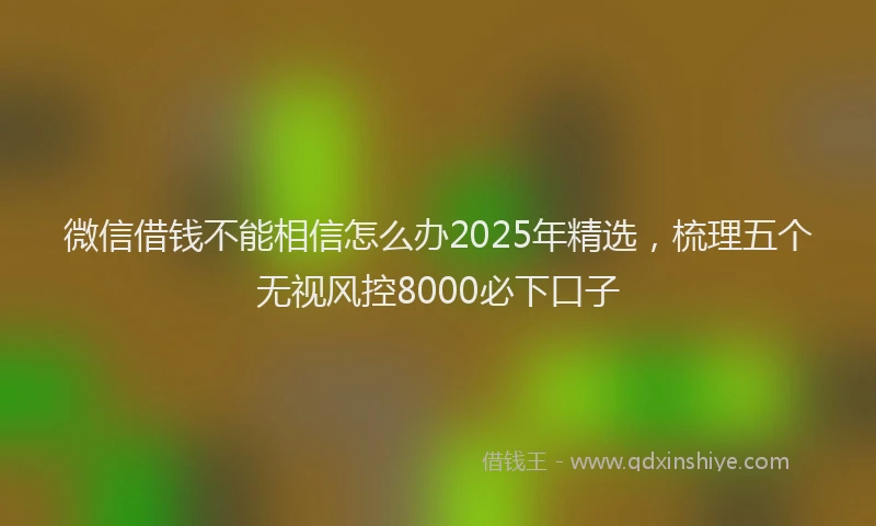 微信借钱不能相信怎么办2025年精选，梳理五个无视风控8000必下口子