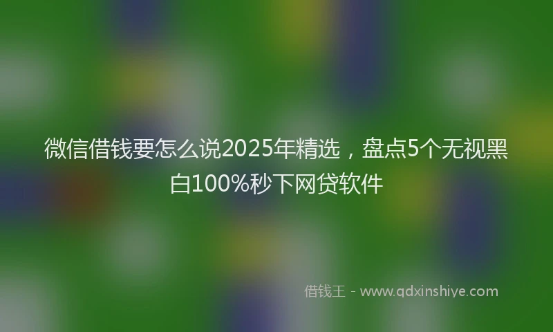 微信借钱要怎么说2025年精选，盘点5个无视黑白100%秒下网贷软件