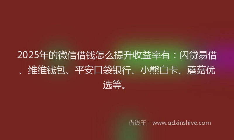 2025年的微信借钱怎么提升收益率有：闪贷易借、维维钱包、平安口袋银行、小熊白卡、蘑菇优选等。