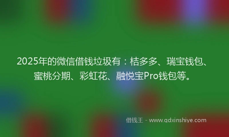 2025年的微信借钱垃圾有：桔多多、瑞宝钱包、蜜桃分期、彩虹花、融悦宝Pro钱包等。