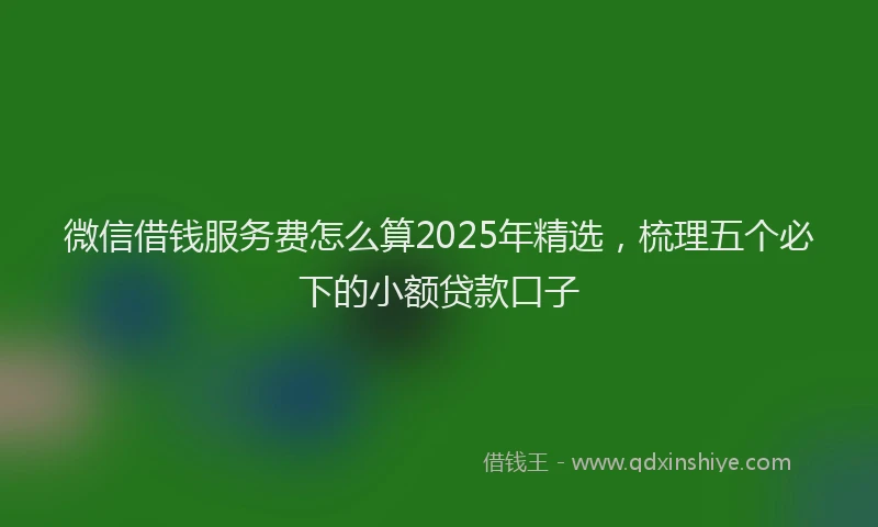 微信借钱服务费怎么算2025年精选，梳理五个必下的小额贷款口子
