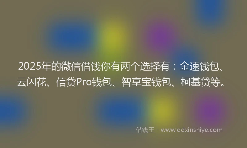 2025年的微信借钱你有两个选择有：金速钱包、云闪花、信贷Pro钱包、智享宝钱包、柯基贷等。