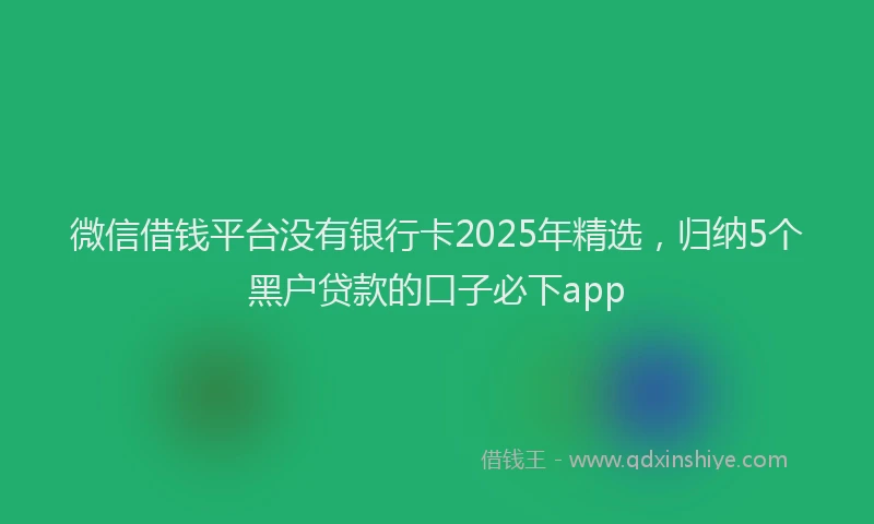微信借钱平台没有银行卡2025年精选，归纳5个黑户贷款的口子必下app