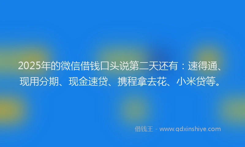 2025年的微信借钱口头说第二天还有：速得通、现用分期、现金速贷、携程拿去花、小米贷等。