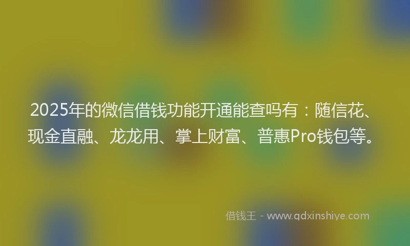 2025年的微信借钱功能开通能查吗有：随信花、现金直融、龙龙用、掌上财富、普惠Pro钱包等。