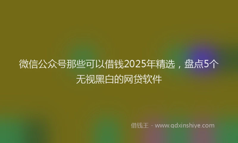 微信公众号那些可以借钱2025年精选，盘点5个无视黑白的网贷软件