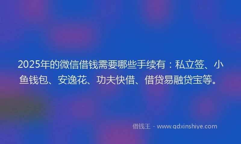 2025年的微信借钱需要哪些手续有：私立签、小鱼钱包、安逸花、功夫快借、借贷易融贷宝等。