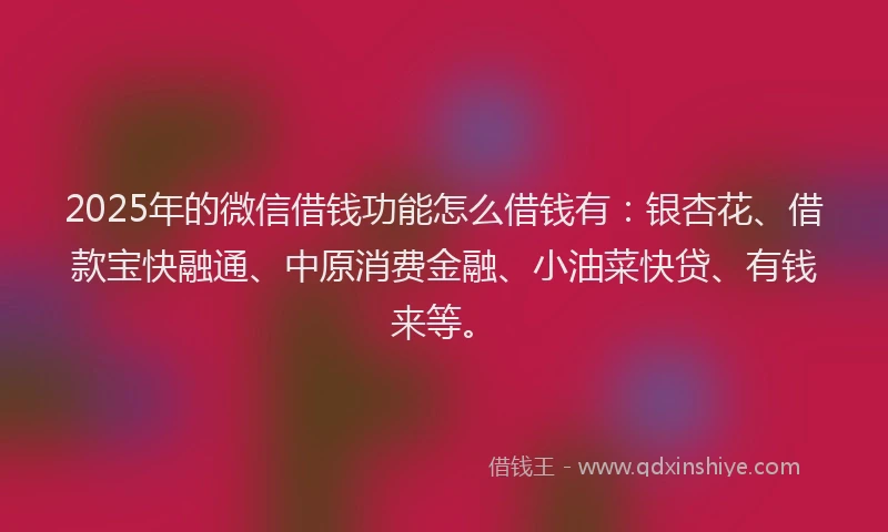 2025年的微信借钱功能怎么借钱有：银杏花、借款宝快融通、中原消费金融、小油菜快贷、有钱来等。