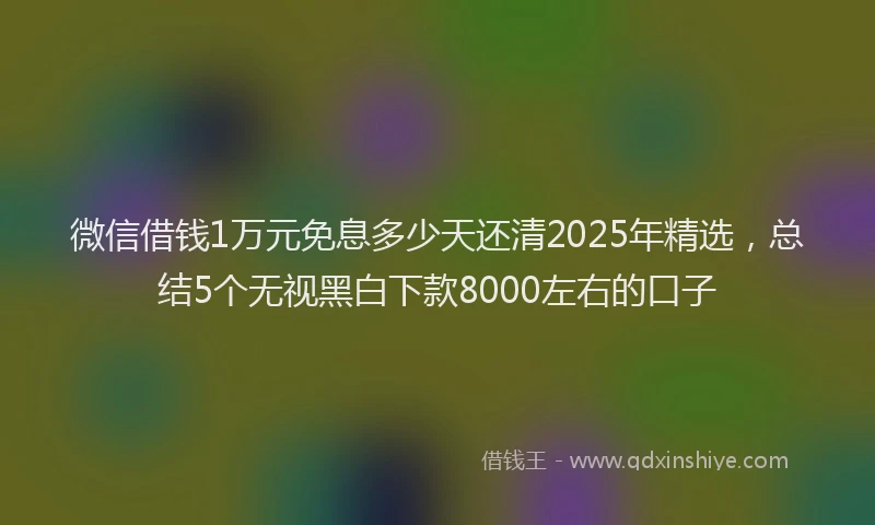 微信借钱1万元免息多少天还清2025年精选，总结5个无视黑白下款8000左右的口子