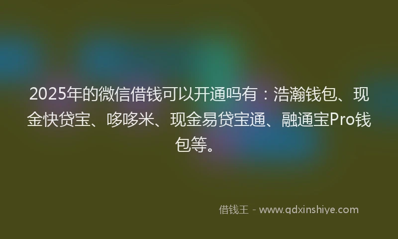 2025年的微信借钱可以开通吗有：浩瀚钱包、现金快贷宝、哆哆米、现金易贷宝通、融通宝Pro钱包等。