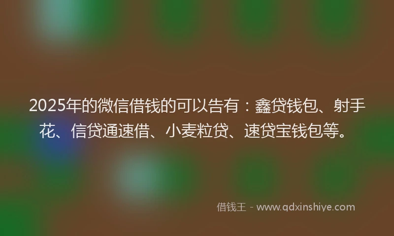 2025年的微信借钱的可以告有：鑫贷钱包、射手花、信贷通速借、小麦粒贷、速贷宝钱包等。