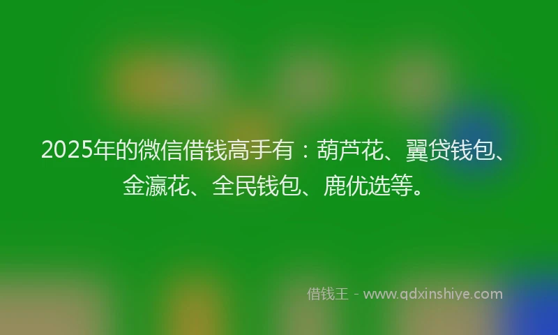 2025年的微信借钱高手有：葫芦花、翼贷钱包、金瀛花、全民钱包、鹿优选等。