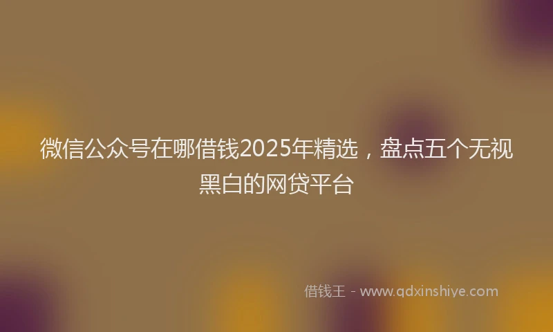 微信公众号在哪借钱2025年精选，盘点五个无视黑白的网贷平台