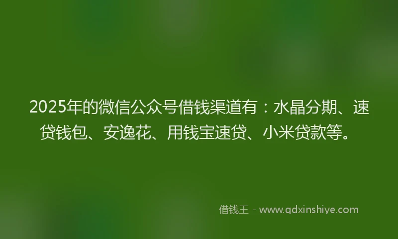 2025年的微信公众号借钱渠道有：水晶分期、速贷钱包、安逸花、用钱宝速贷、小米贷款等。