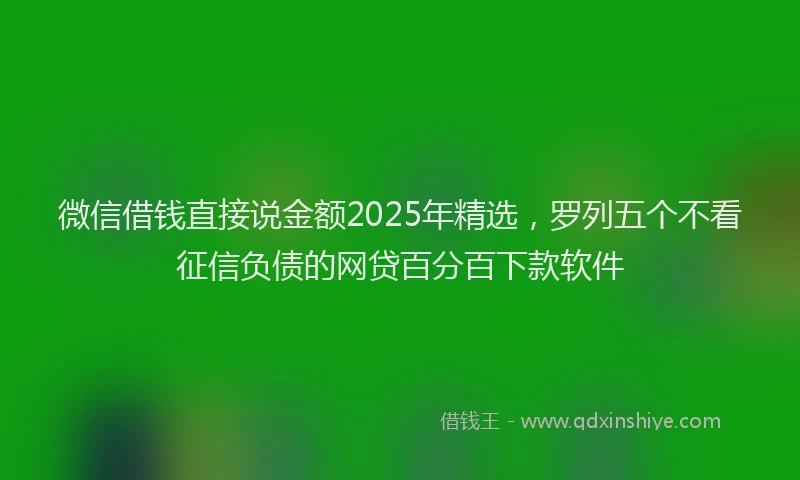 微信借钱直接说金额2025年精选，罗列五个不看征信负债的网贷百分百下款软件