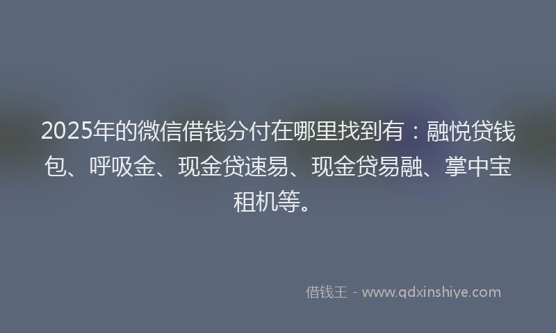 2025年的微信借钱分付在哪里找到有：融悦贷钱包、呼吸金、现金贷速易、现金贷易融、掌中宝租机等。