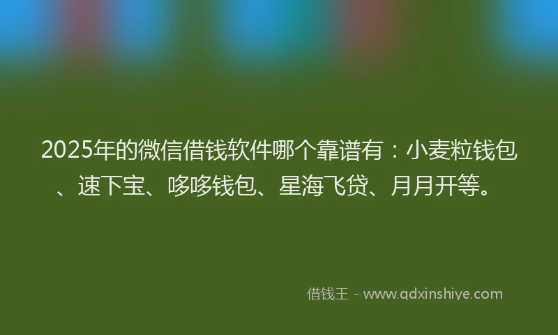 2025年的微信借钱软件哪个靠谱有：小麦粒钱包、速下宝、哆哆钱包、星海飞贷、月月开等。