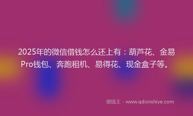 2025年的微信借钱怎么还上有：葫芦花、金易Pro钱包、奔跑租机、易得花、现金盒子等。
