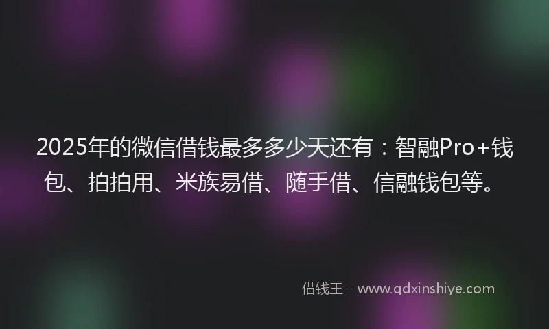 2025年的微信借钱最多多少天还有：智融Pro+钱包、拍拍用、米族易借、随手借、信融钱包等。