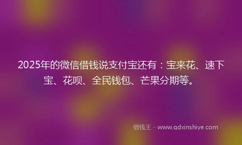 2025年的微信借钱说支付宝还有：宝来花、速下宝、花呗、全民钱包、芒果分期等。
