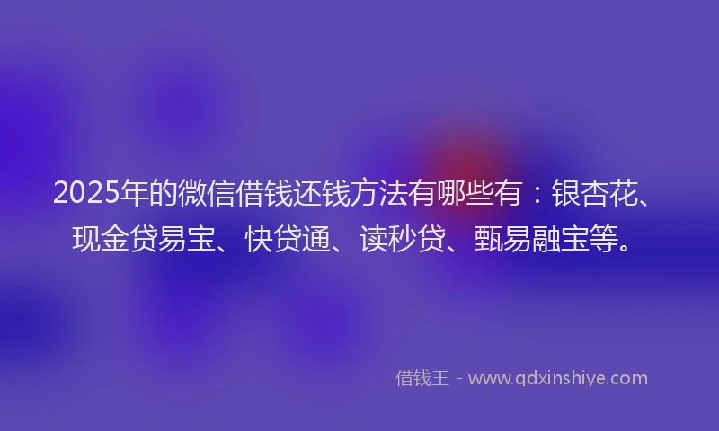 2025年的微信借钱还钱方法有哪些有：银杏花、现金贷易宝、快贷通、读秒贷、甄易融宝等。