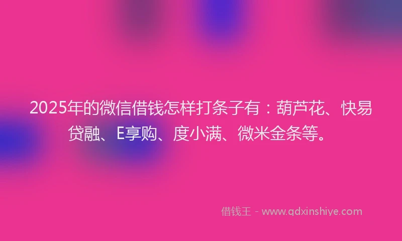 2025年的微信借钱怎样打条子有：葫芦花、快易贷融、E享购、度小满、微米金条等。