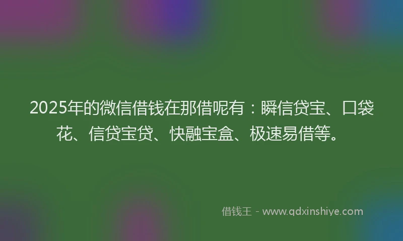 2025年的微信借钱在那借呢有：瞬信贷宝、口袋花、信贷宝贷、快融宝盒、极速易借等。