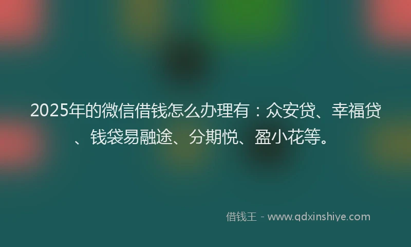 2025年的微信借钱怎么办理有：众安贷、幸福贷、钱袋易融途、分期悦、盈小花等。
